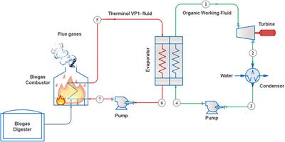 Process Systems Engineering Evaluation of Prospective Working Fluids for Organic Rankine Cycles Facilitated by Biogas Combustion Flue Gases